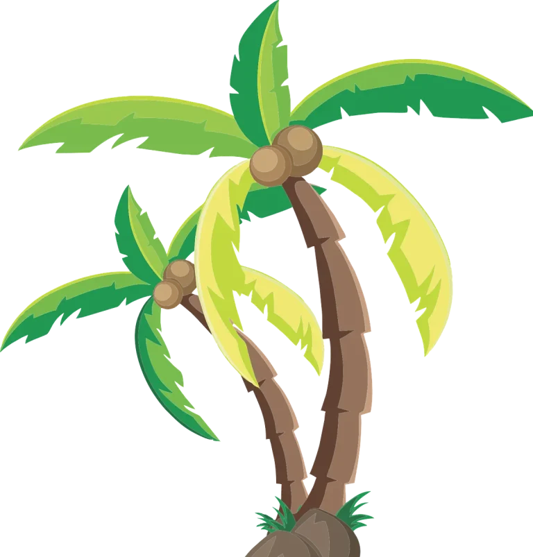coconut tree caricature