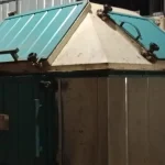 Coconut oil extraction machine at Grace Agros